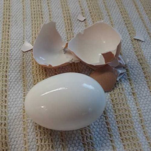 The Trick to Peeling Fresh Hard Boiled Eggs